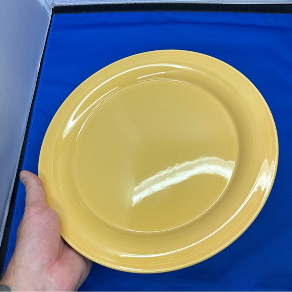 Nancy Calhoun Multicolor Dinner Plates in 4 Colors - Picture 11 of 12